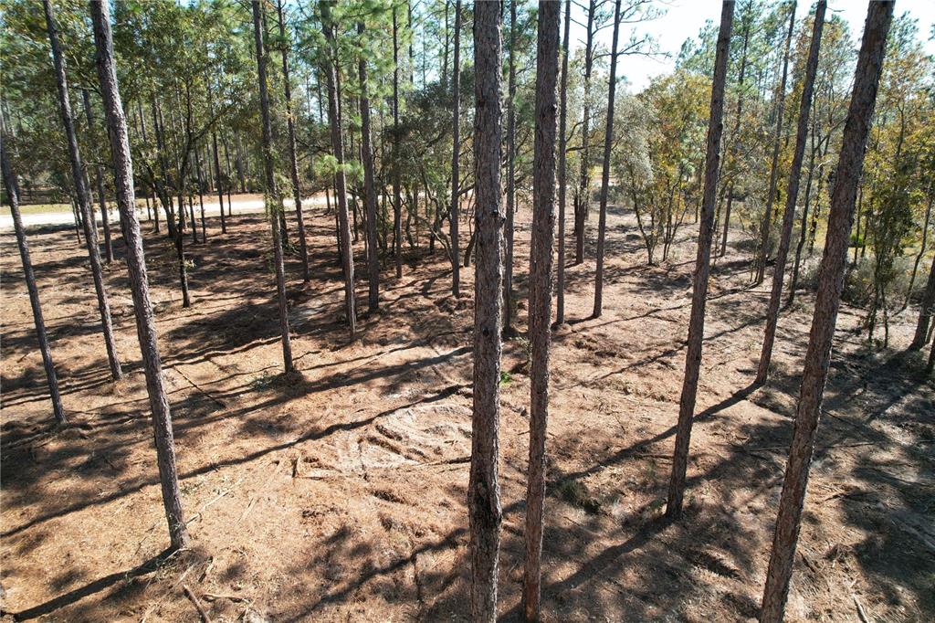 93rd Terrace Archer, FL 32618 - Photo 6 of 8 a view of outdoor space and a yard