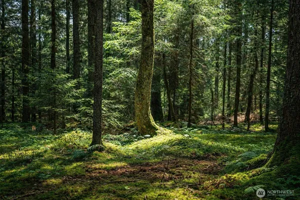 $439,950 | 44110 Southeast 159th Street, North Bend, WA 98045