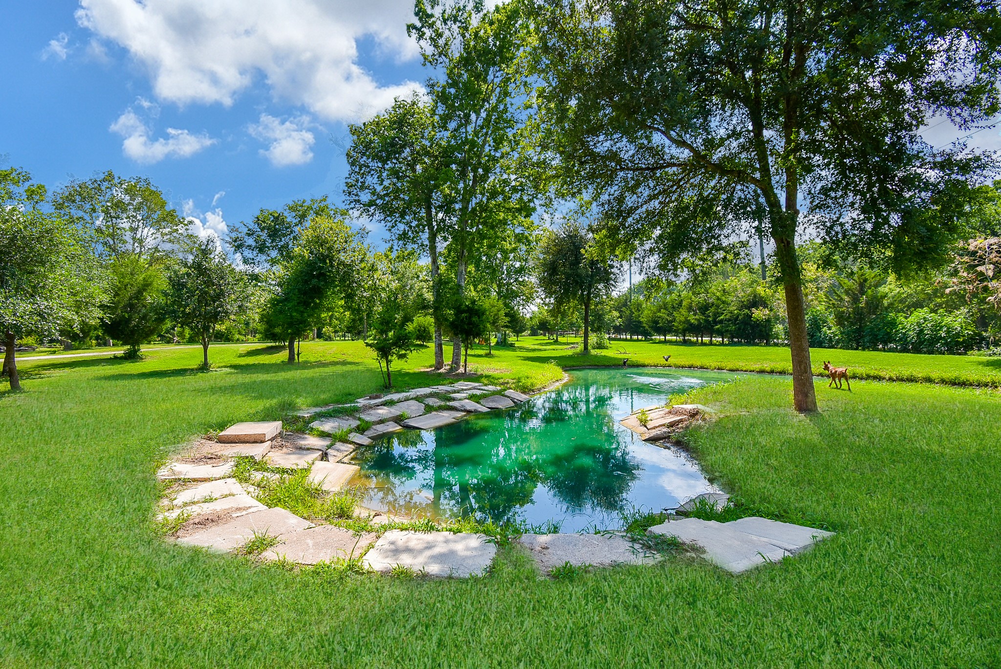 39551 Donigan Road Brookshire, TX 77423 - Photo 14 of 37 View of home's community featuring view of wooded area and a small pond