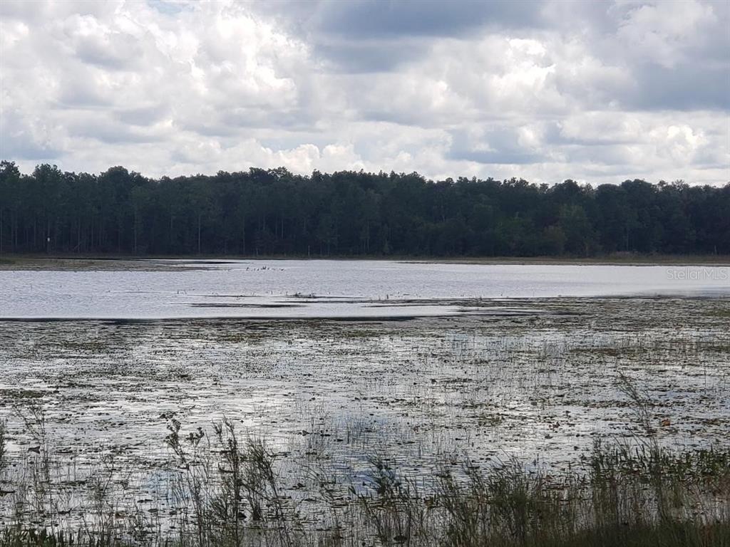 20 State Road Hawthorne, FL 32640 - Photo 7 of 7