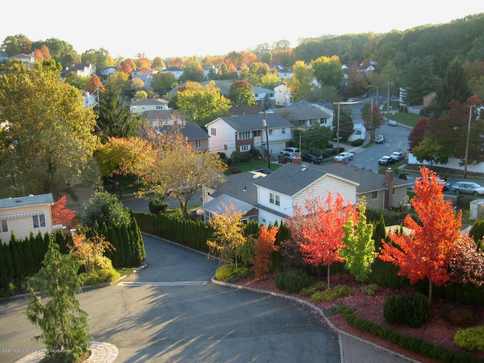 199 Spring Street Staten Island, NY 10304 - Photo 51 of 51 View 02