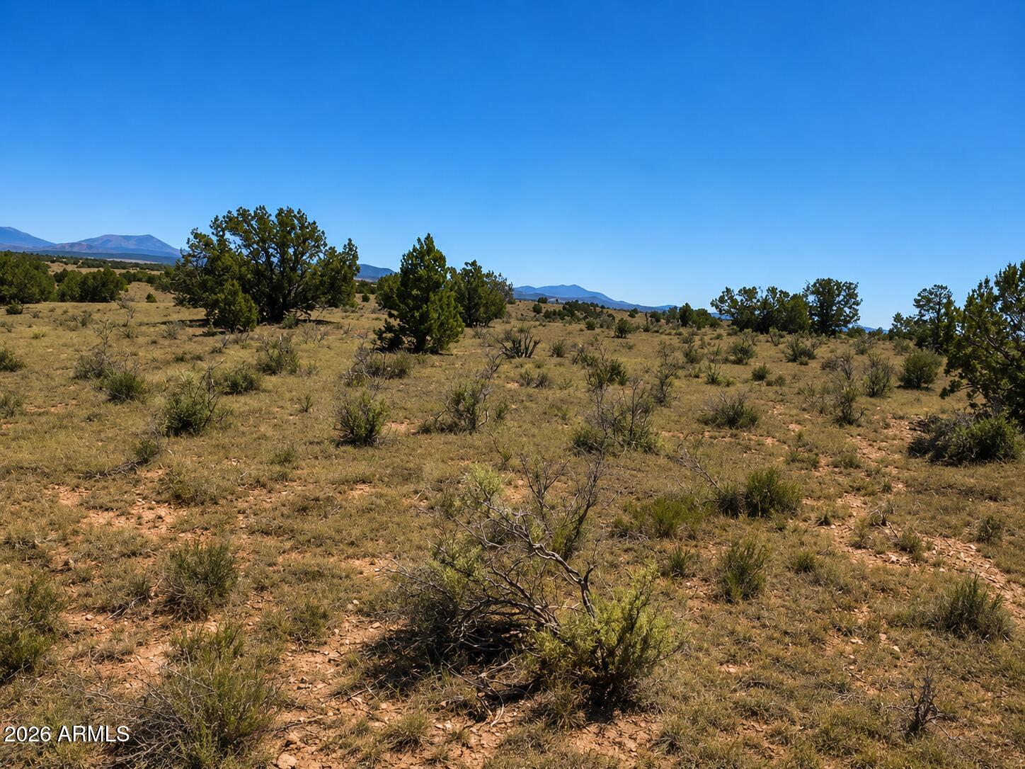3973 Valle Road, Unit 1 Williams, AZ 86046 - Photo 7 of 8