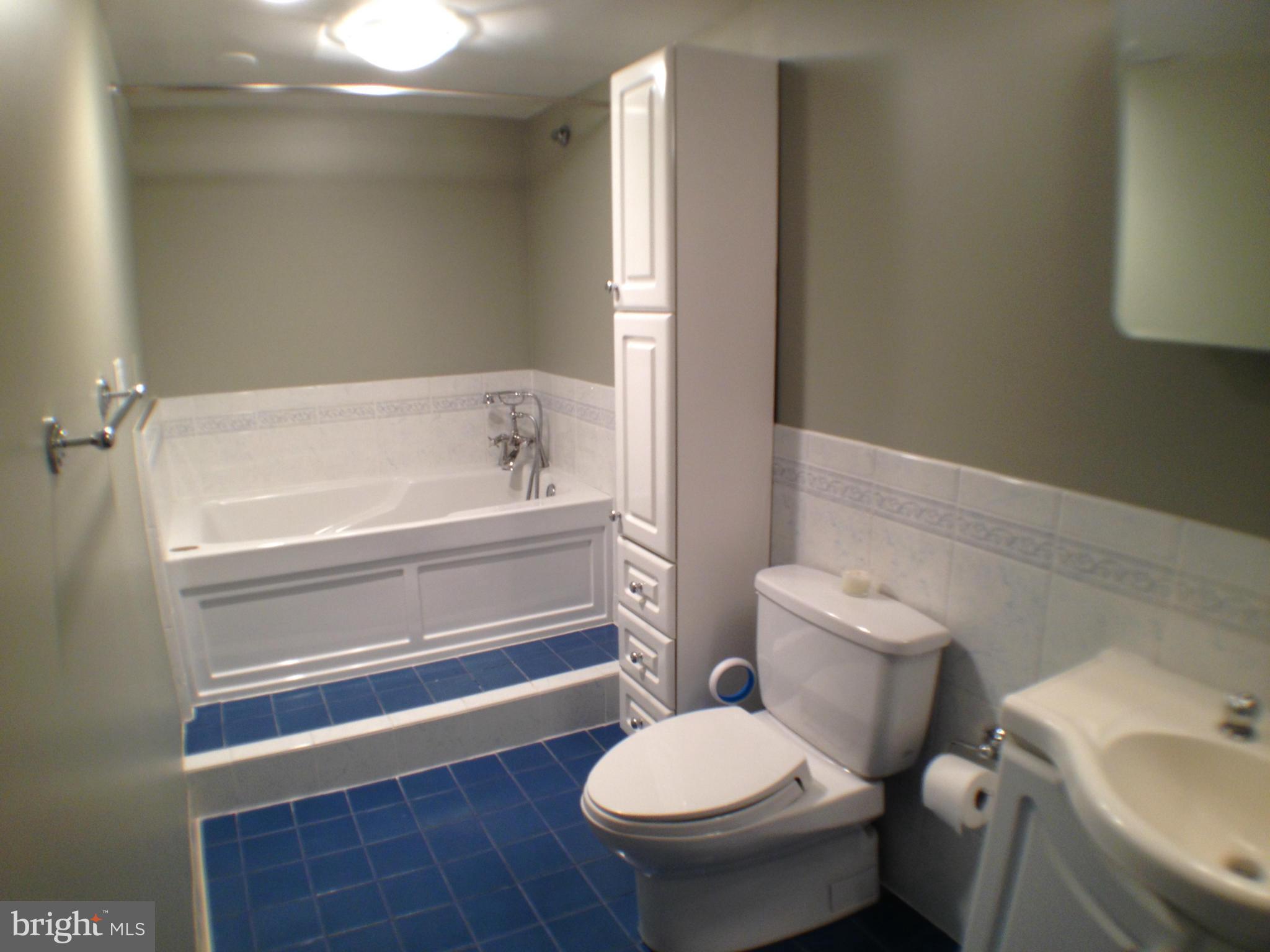 111 Hamlet Hill Road, Unit 902 Baltimore, MD 21210 - Photo 19 of 30 a bathroom with a sink and toilet
