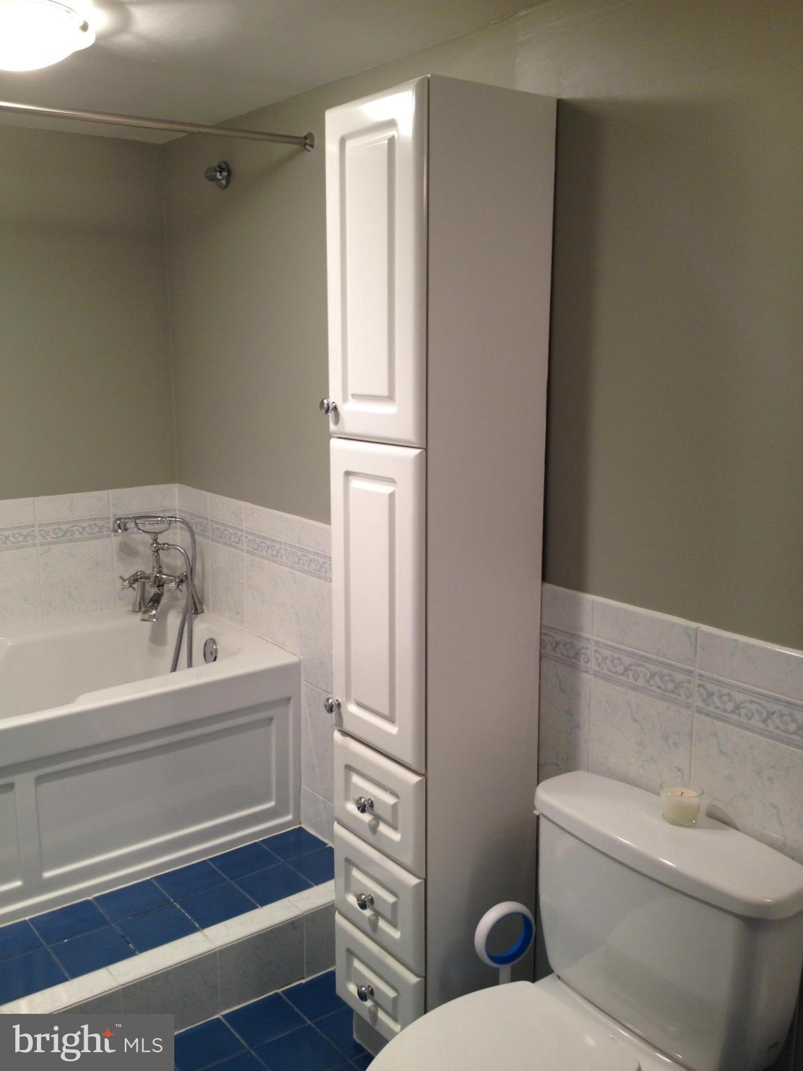 111 Hamlet Hill Road, Unit 902 Baltimore, MD 21210 - Photo 21 of 30 a bathroom with a bathtub and a toilet