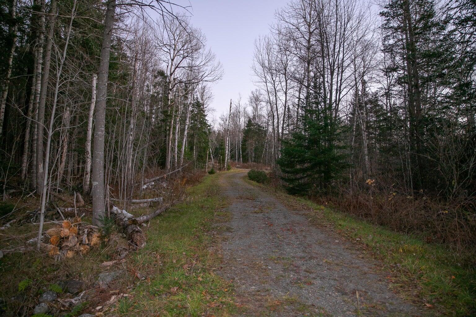 Lot 16 Mill Brook Road Sandy River Plt, ME 04970 - Photo 22 of 44