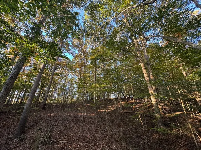 $75,000 | 401 Highway 17, Royston, GA 30662