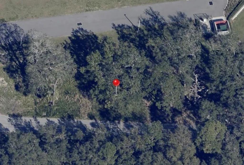 Barn Street Kissimmee, FL 34744 - Photo 2 of 3 a view of a forest with a dry yard