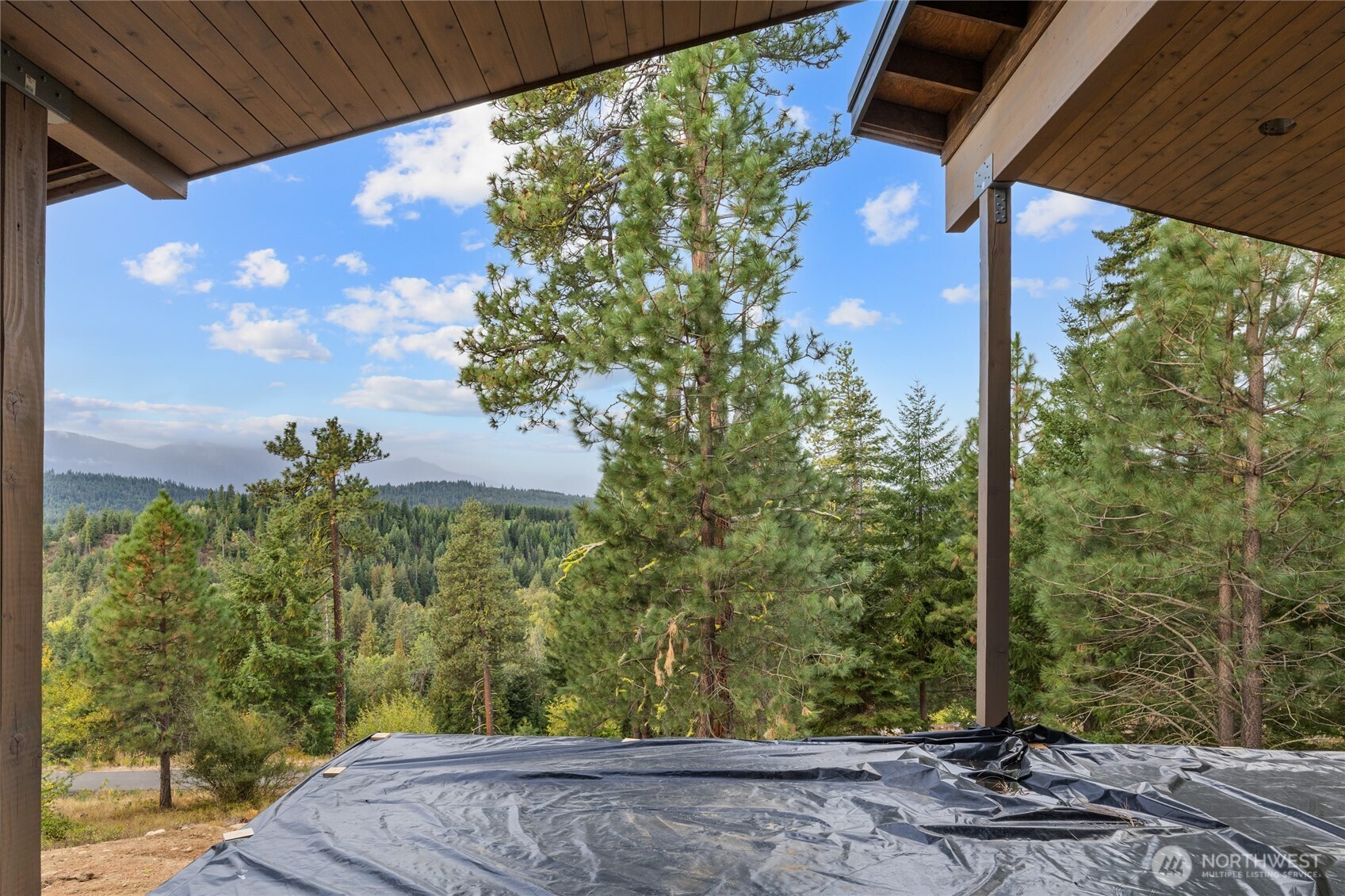 331 Kokanee Loop Cle Elum, WA 98922 - Photo 16 of 40 a view of a yard with plants