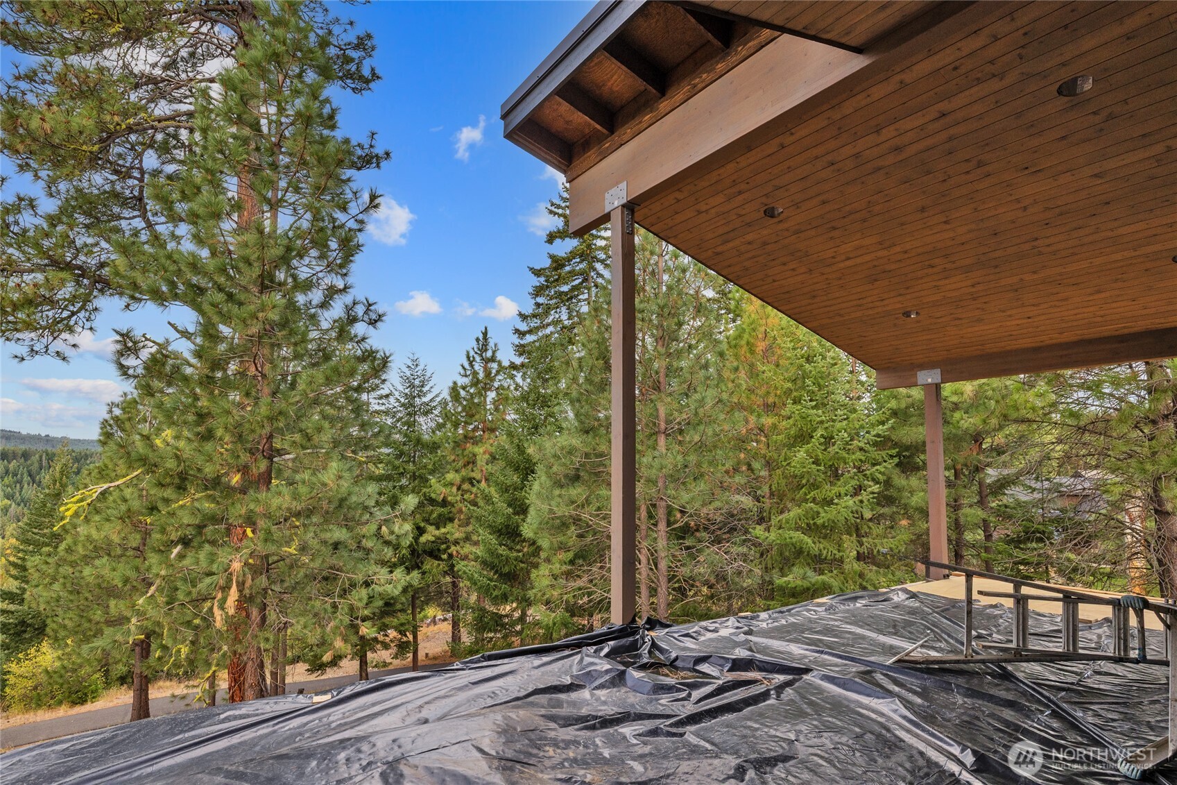 331 Kokanee Loop Cle Elum, WA 98922 - Photo 17 of 40 a backyard of a house with lots of green space