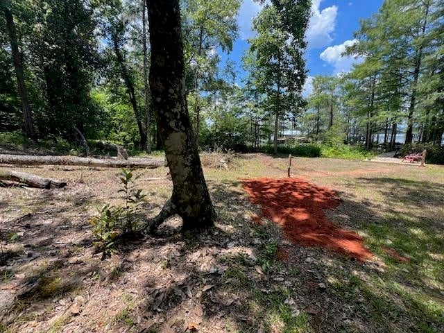 31372 Joe Hughes Road Andalusia, AL 36421 - Photo 13 of 45 Gallery Image 13
