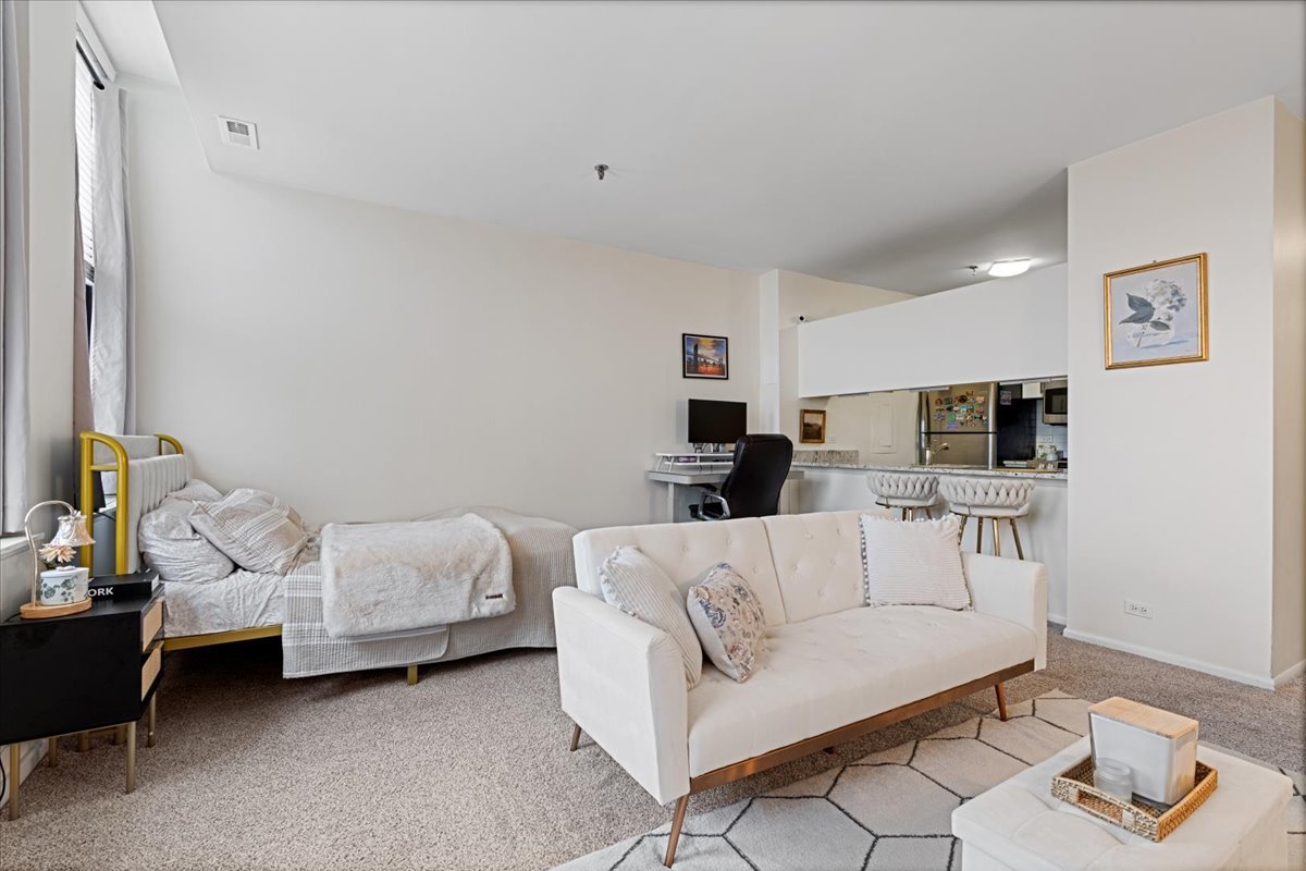 780 South Federal Street, Unit 709 Chicago, IL 60605 - Photo 6 of 18