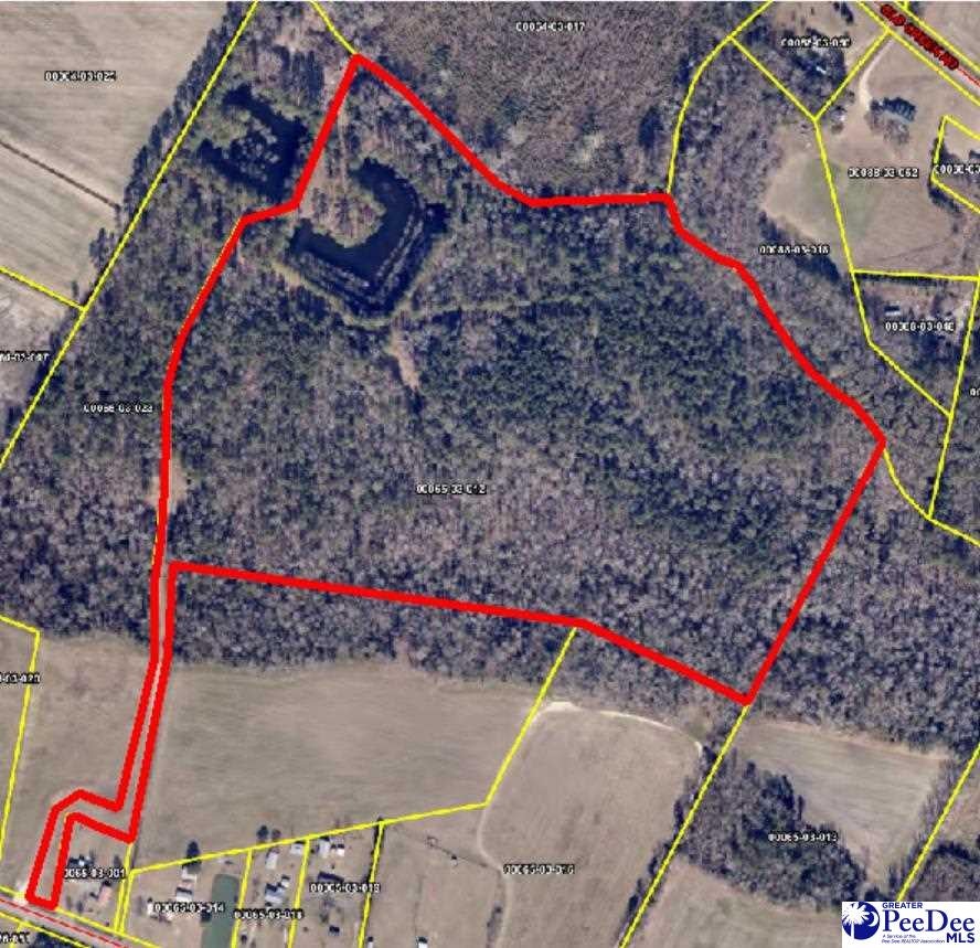Tbd North Tbd N Bethel Road Scranton, SC 29591 - Photo 3 of 28 Gallery Image 3