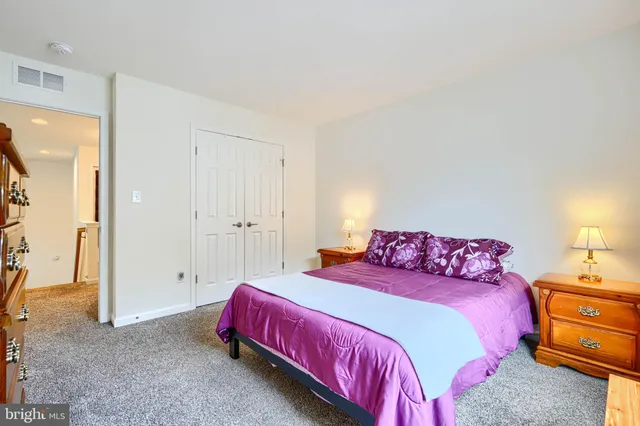 a view of a park with large trees and a small yard