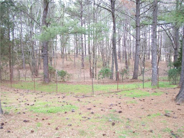 97 Ridgeway McEwen, TN 37101 - Photo 13 of 20 Gallery Image 13
