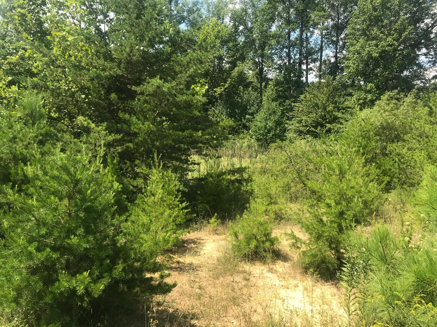 467 Whitson School Road London, KY 40741 - Photo 15 of 16 Photo 16