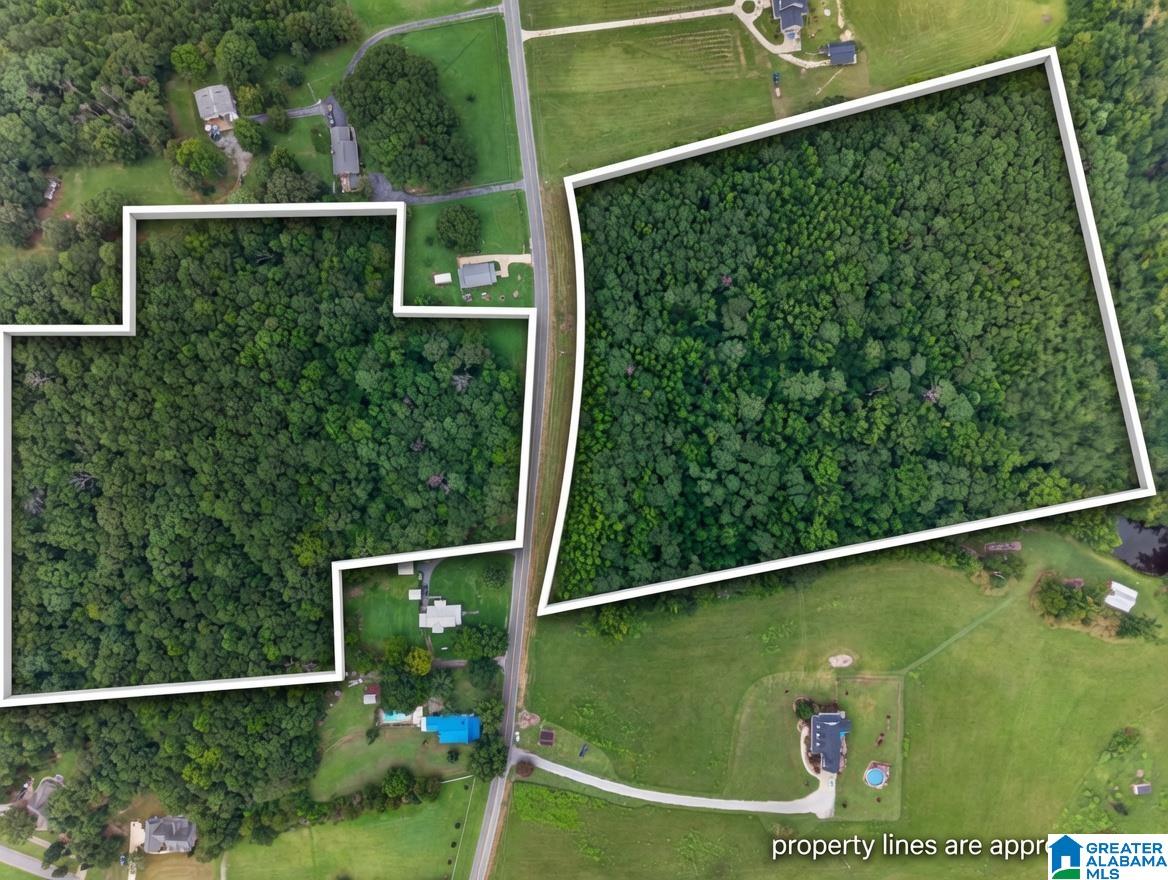 0 Pleasant Valley Road Jacksonville, AL 36265 - Photo 1 of 14 Gallery Image 1