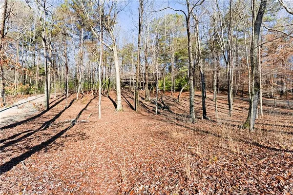 a view of a yard with a slide