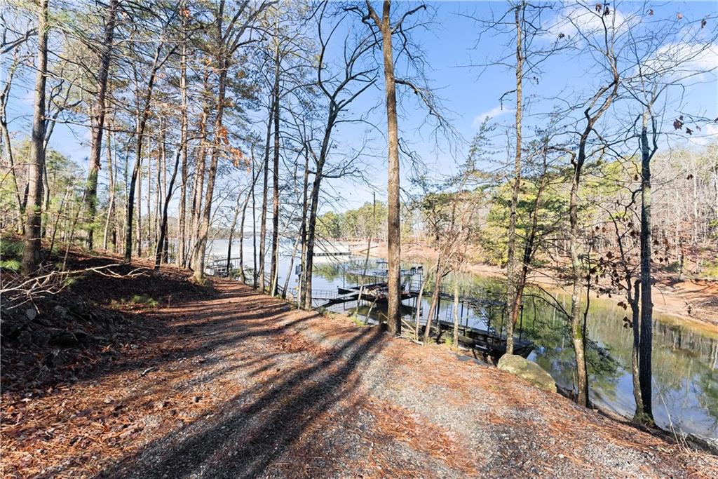 3533 Keith Bridge Road Gainesville, GA 30504 - Photo 9 of 22 a view of a yard with plants and trees