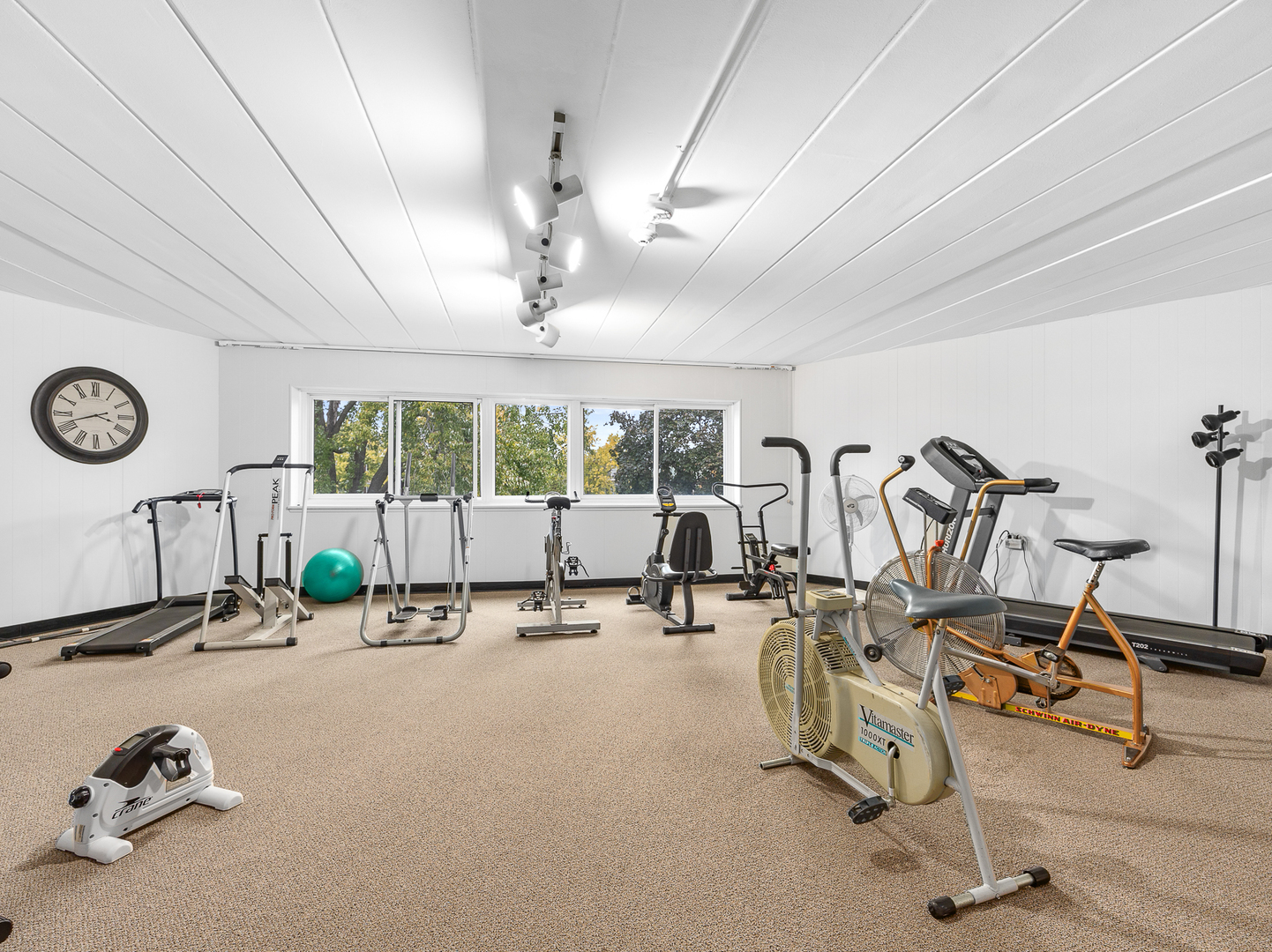 5540 Walnut Avenue, Unit 33A Downers Grove, IL 60515 - Photo 15 of 25 a view of a room with gym equipment