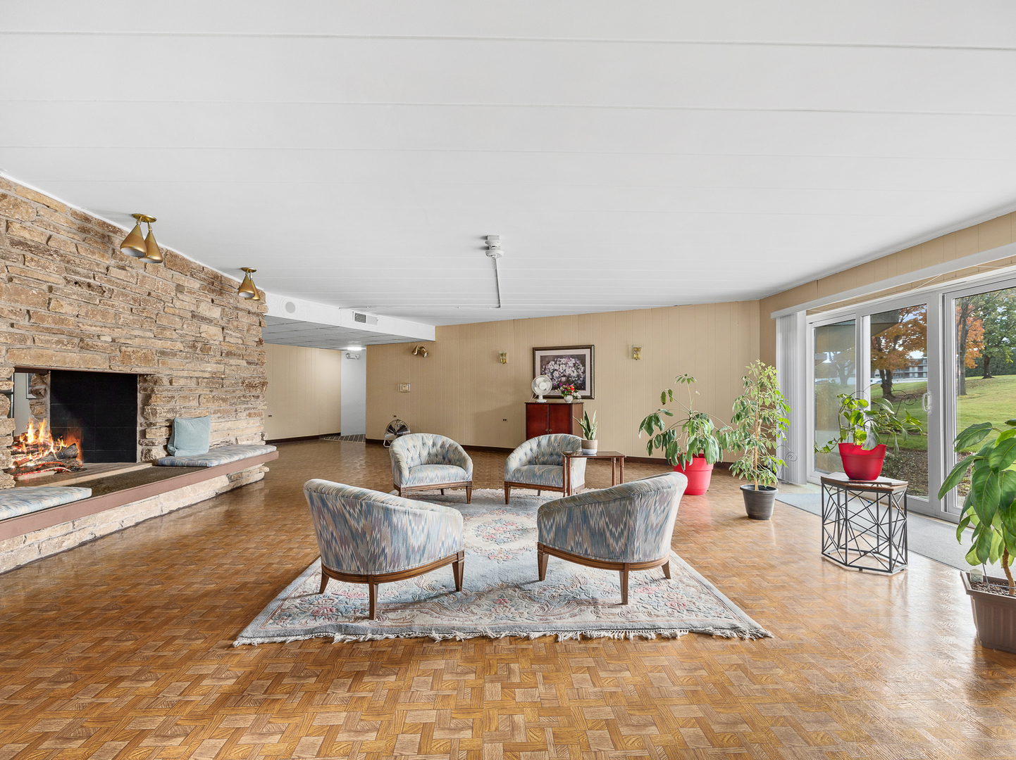 5540 Walnut Avenue, Unit 33A Downers Grove, IL 60515 - Photo 18 of 25 a living room with furniture and a fireplace