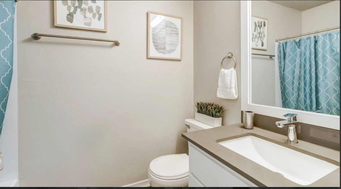 1338 Christopher Avenue, Unit 1212 Round Rock, TX 78681 - Photo 9 of 13 a bathroom with a toilet sink and mirror