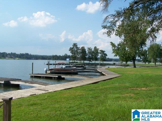 6089 Rainbow Row Pell City, AL 35128 - Photo 50 of 50