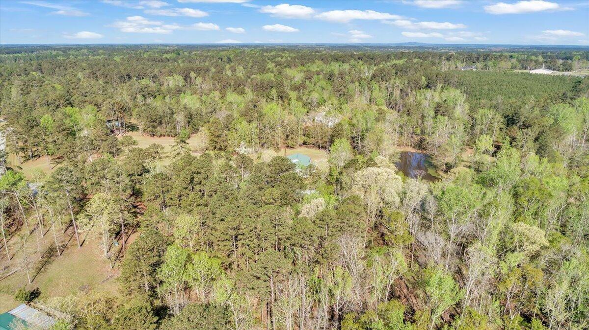 7025 Rance Perry Road Appling, GA 30802 - Photo 31 of 71 10-7025 Rance Perry Rd, 200ft View, Dron