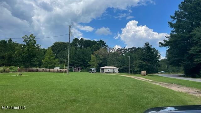 610 Ephesus Road Forest, MS 39074 - Photo 3 of 4 IMG_4442