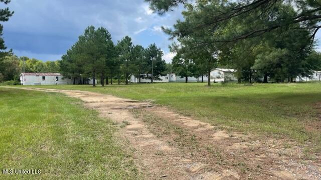 610 Ephesus Road Forest, MS 39074 - Photo 4 of 4 IMG_4440
