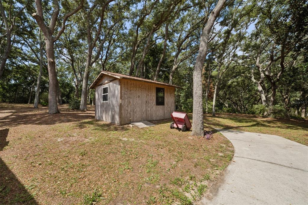 17056 Red Bird Road Winter Garden, FL 34787 - Photo 24 of 35