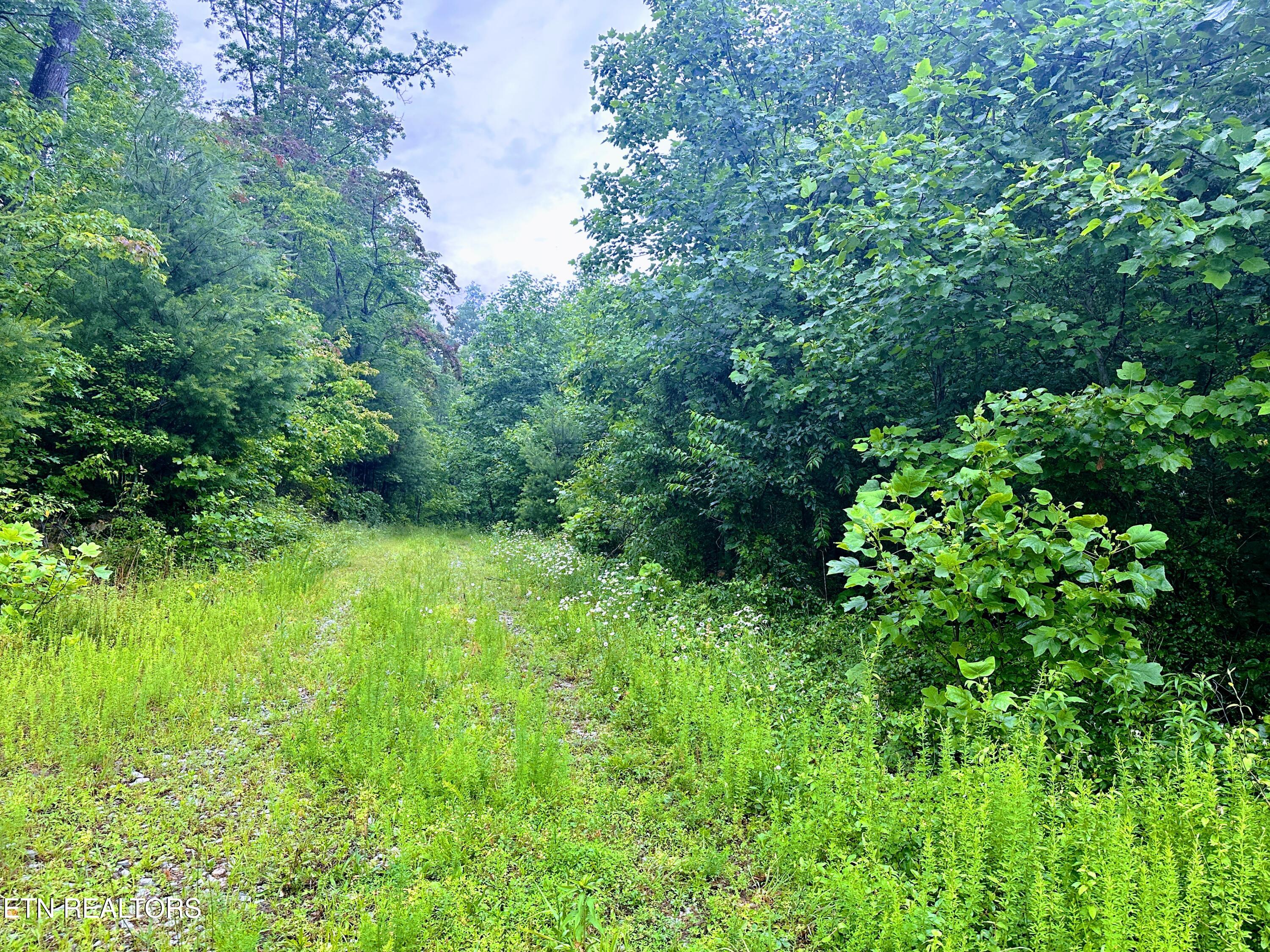 13.44 Chestnut Ridge Road Allardt, TN 38504 - Photo 2 of 8 IMG_8867