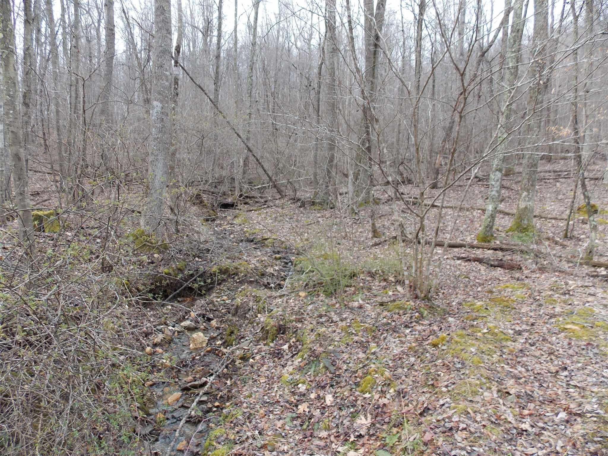 Tbd Broad Hollow Road Southeast Floyd, VA 24091 - Photo 6 of 45 Gallery Image 6