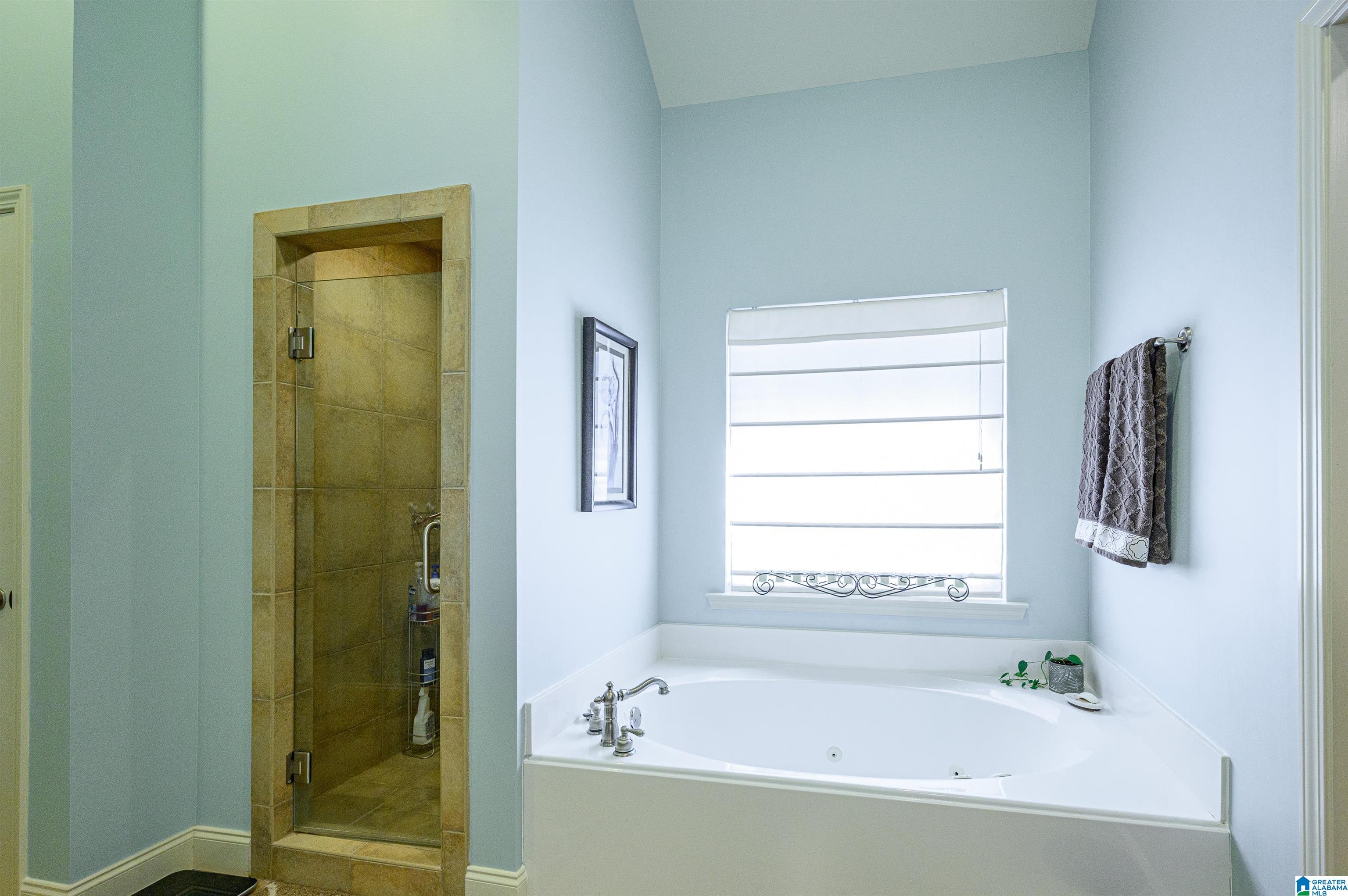 129 Timber Ridge Drive Alabaster, AL 35007 - Photo 20 of 44