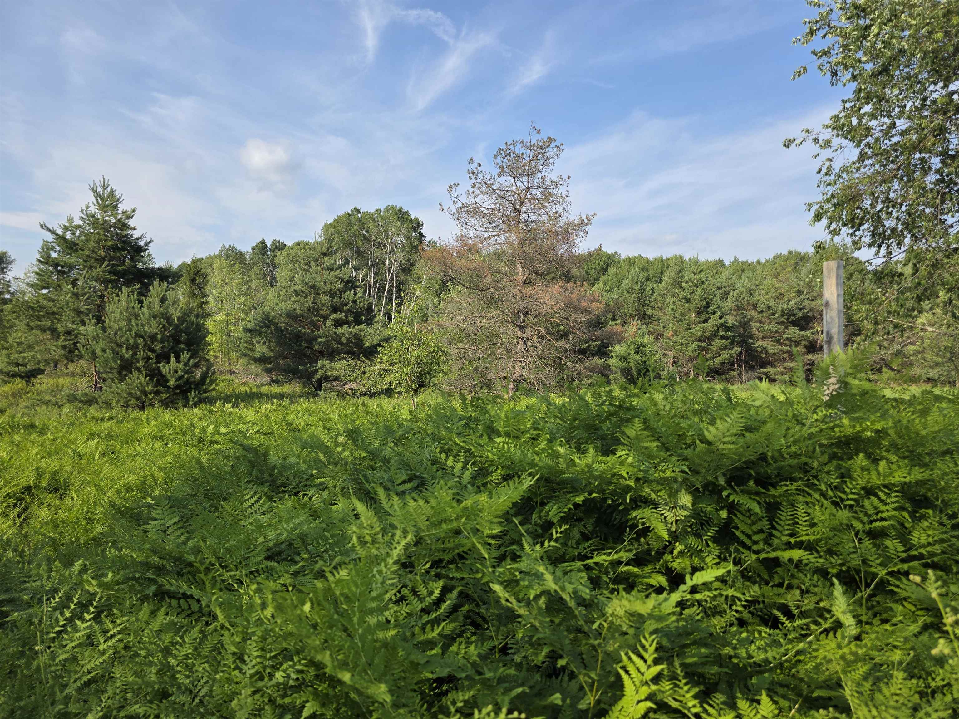 0 Arnold Road Manton, MI 49663 - Photo 20 of 63