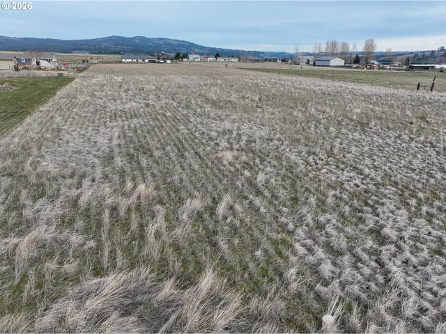 a view of a field with an ocean and trees