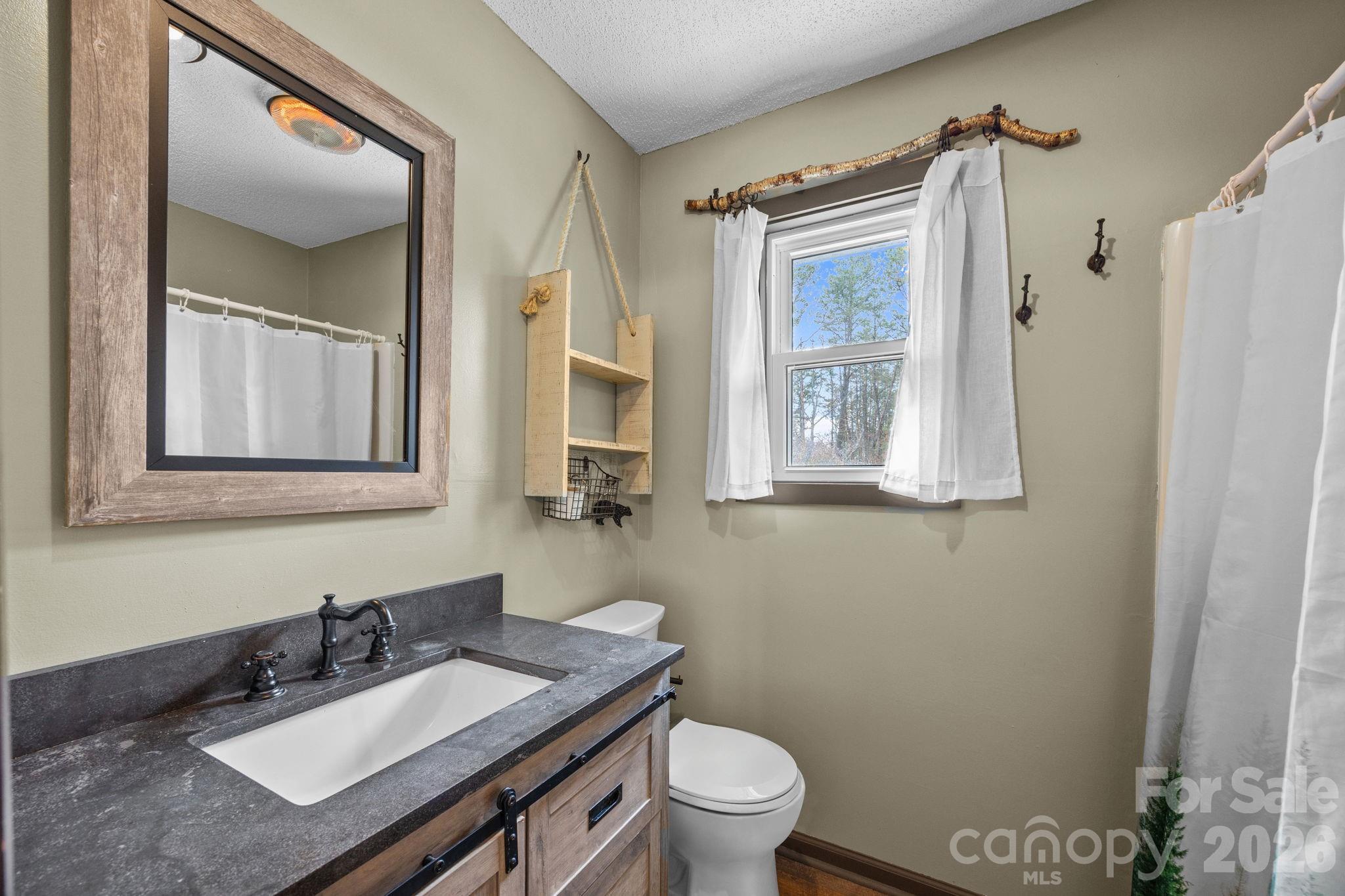 1169 Rickman Creek Road Franklin, NC 28734 - Photo 18 of 43 a bathroom with a toilet a sink and mirror