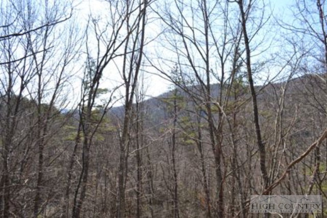 111 High Hollow Road Deep Gap, NC 28618 - Photo 21 of 28 Gallery Image 21