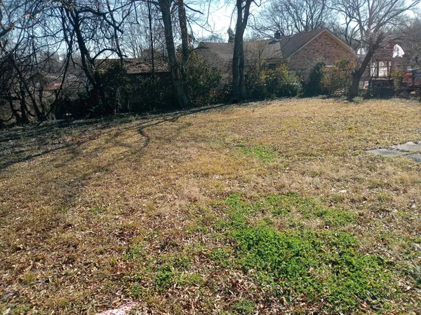 a pathway of a yard