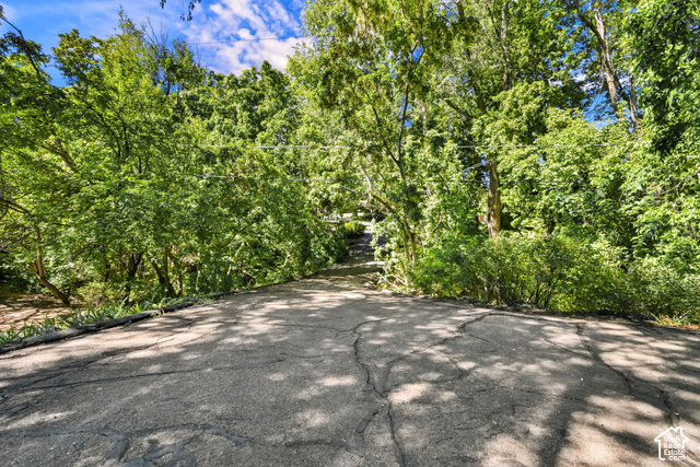 965 Newberry Road Salt Lake City, UT 84108 - Photo 5 of 43 Driveway view from house to Newberry Rd.