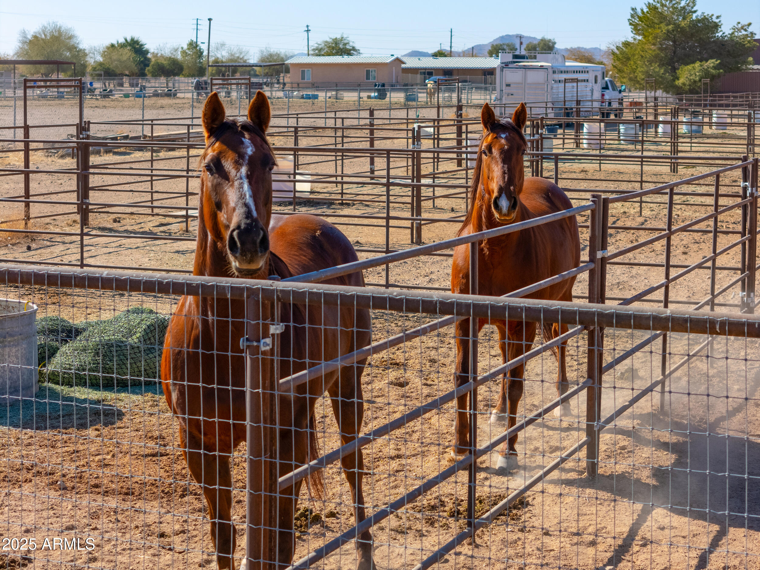10137 North White Road Maricopa, AZ 85139 - Photo 106 of 109 air21