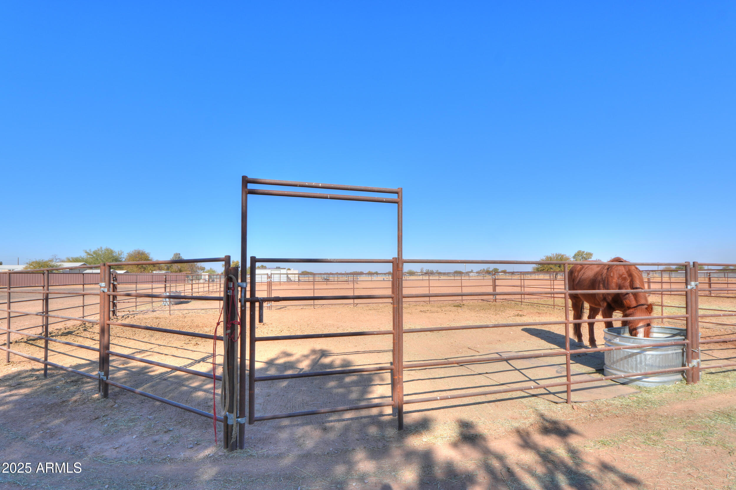 10137 North White Road Maricopa, AZ 85139 - Photo 53 of 109 50