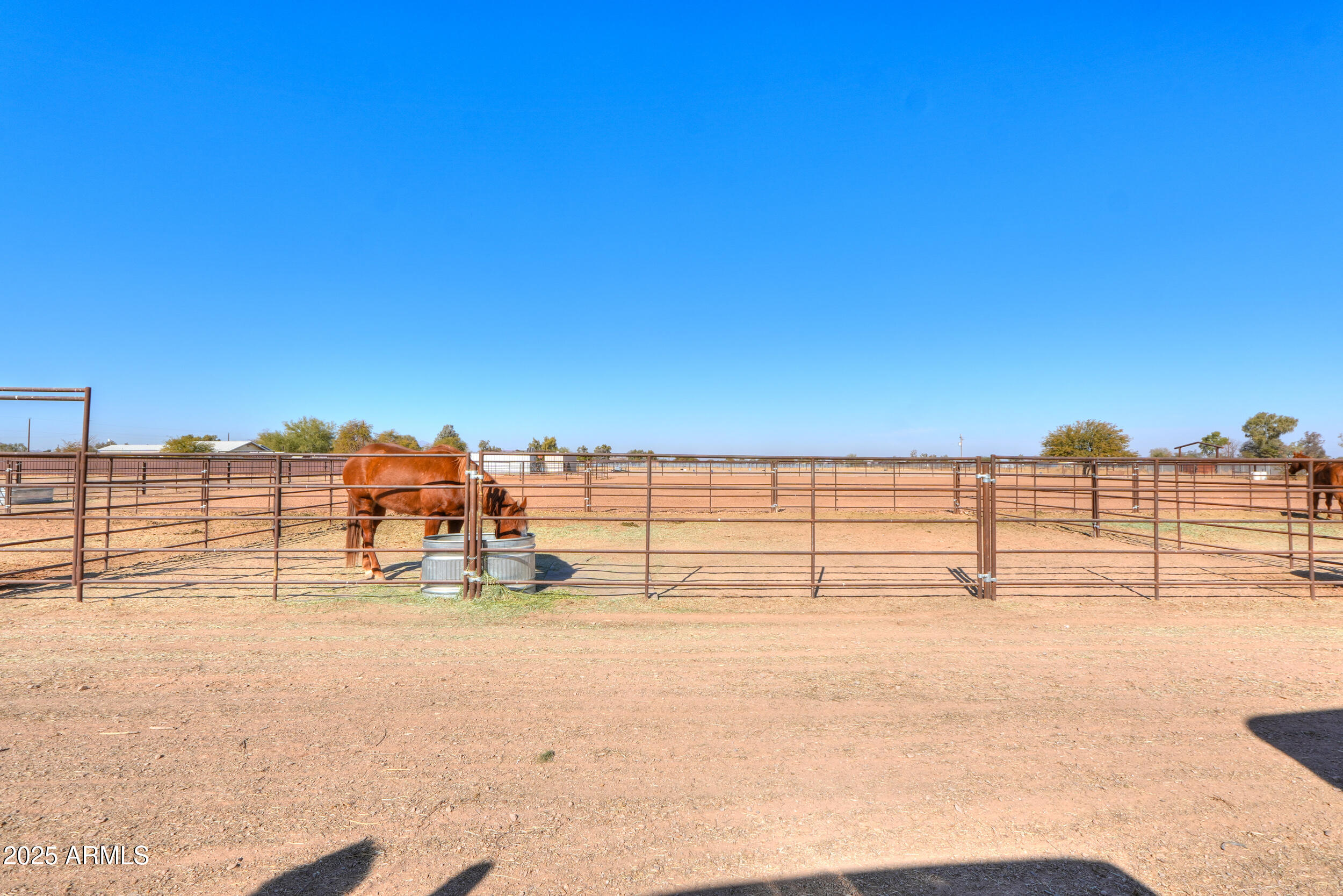 10137 North White Road Maricopa, AZ 85139 - Photo 54 of 109 51