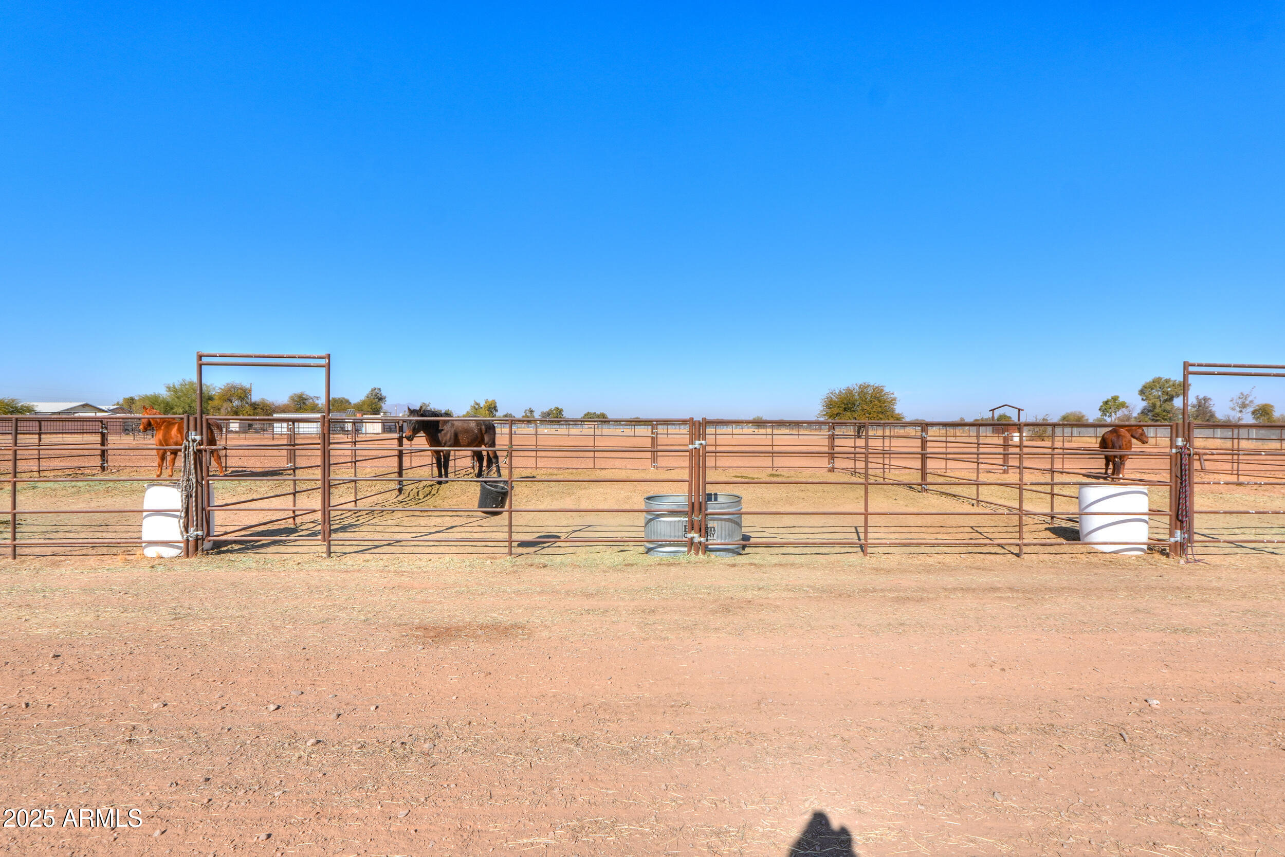 10137 North White Road Maricopa, AZ 85139 - Photo 56 of 109 53