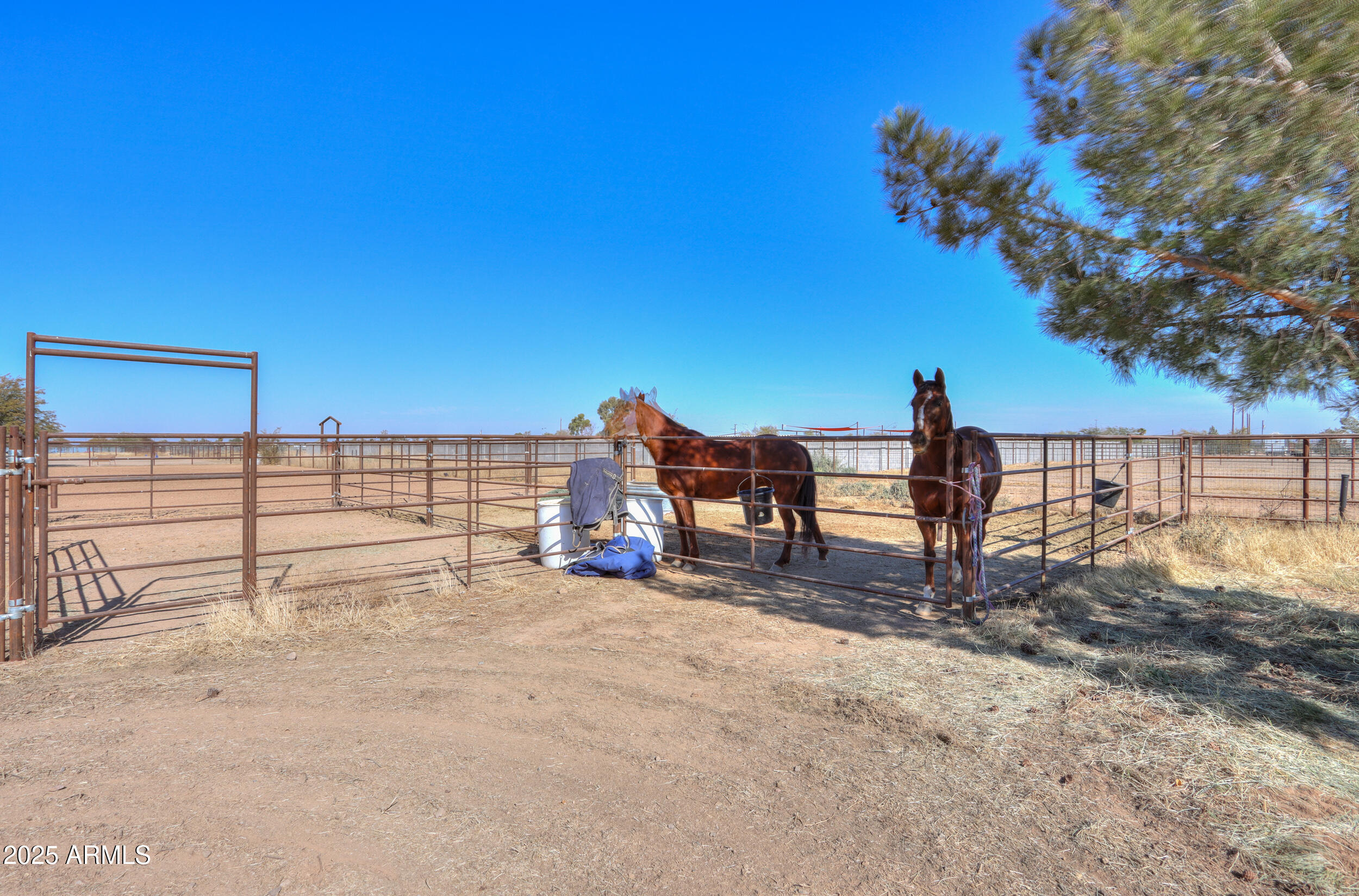 10137 North White Road Maricopa, AZ 85139 - Photo 80 of 109 77