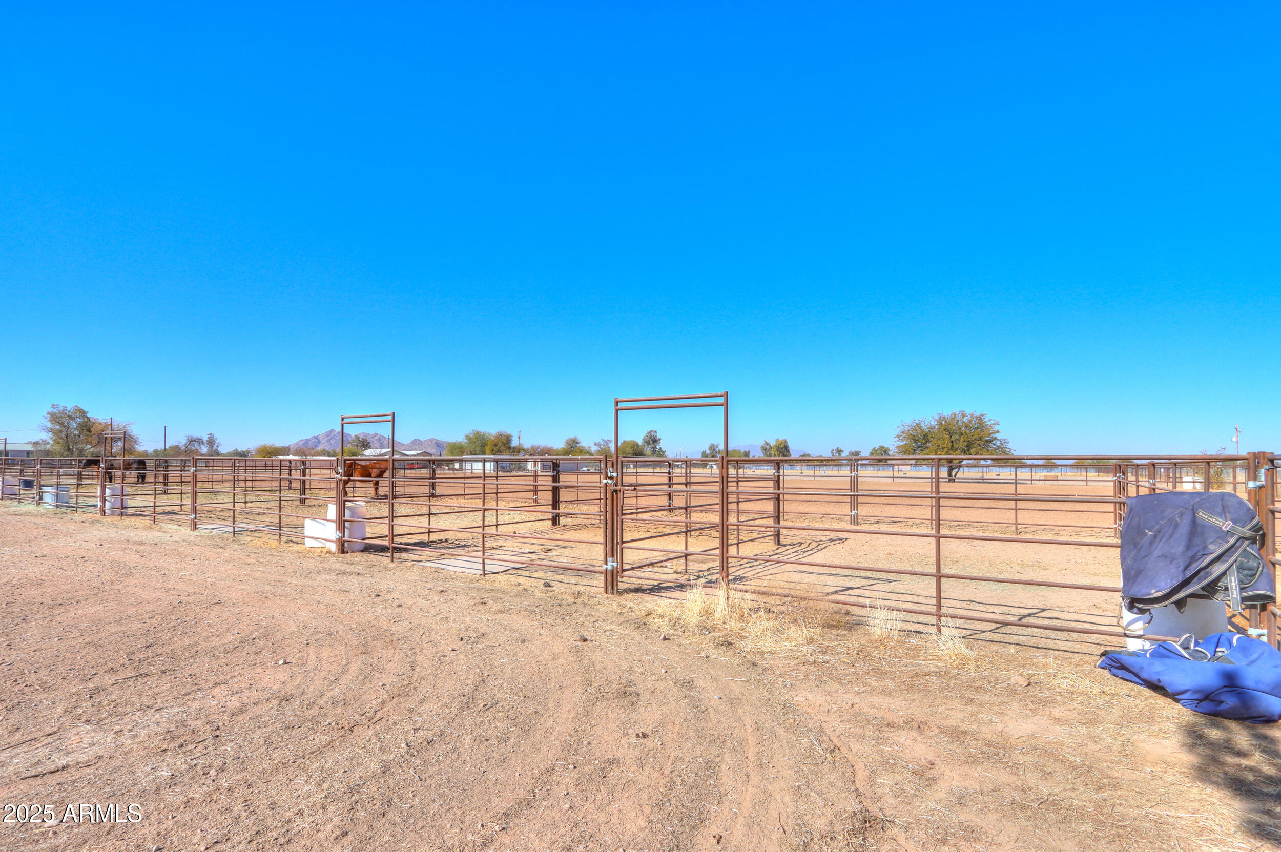 10137 North White Road Maricopa, AZ 85139 - Photo 81 of 109 78