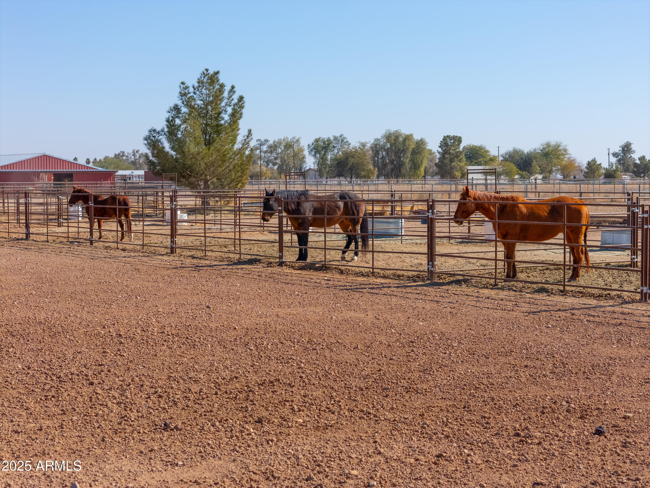 10137 North White Road Maricopa, AZ 85139 - Photo 99 of 109 air14