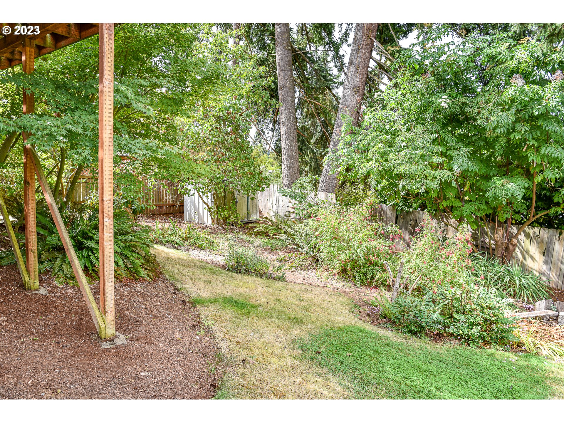 1930 Buck Street Eugene, OR 97405 - Photo 37 of 39 a view of a yard with plants and large trees