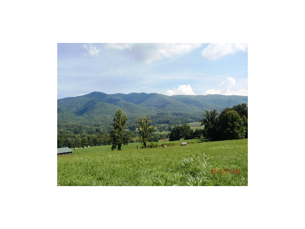 0 Cole Hollow Road Elizabethton, TN 37643 - Photo 1 of 14 View from Meadow