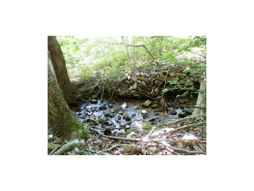 0 Cole Hollow Road Elizabethton, TN 37643 - Photo 11 of 14 Creek
