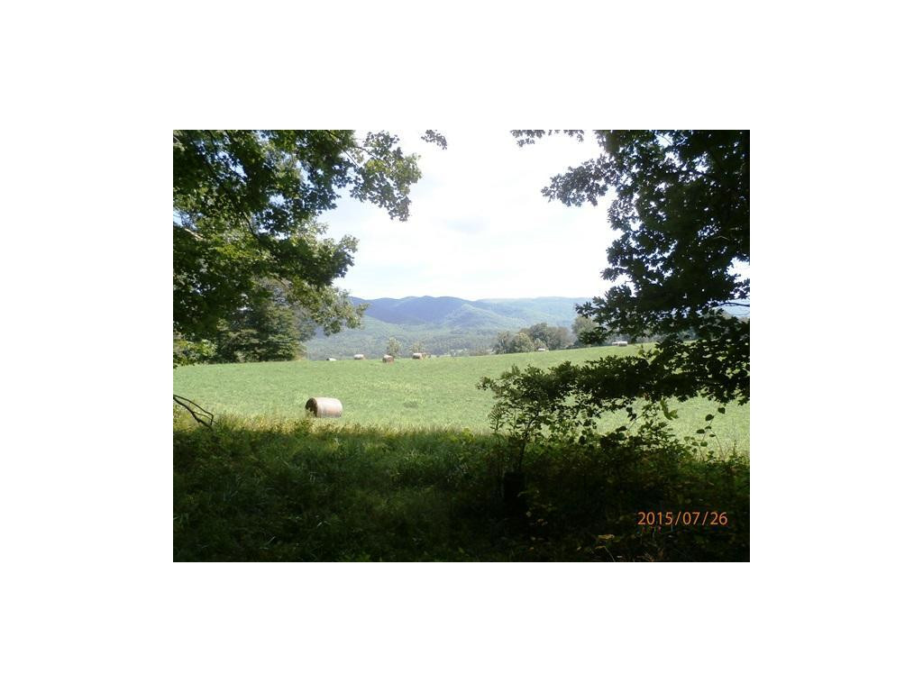 0 Cole Hollow Road Elizabethton, TN 37643 - Photo 2 of 14 Through Woods to Meadow